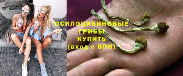 PSILOCYBIN Абаза