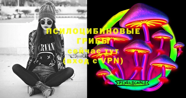 бошки Абинск