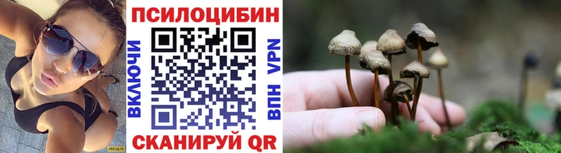 Галлюциногенные грибы Psilocybine cubensis Красновишерск